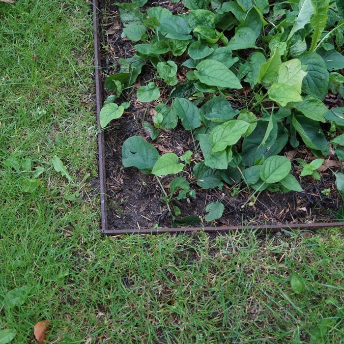 Corten iron borders for garden beds.